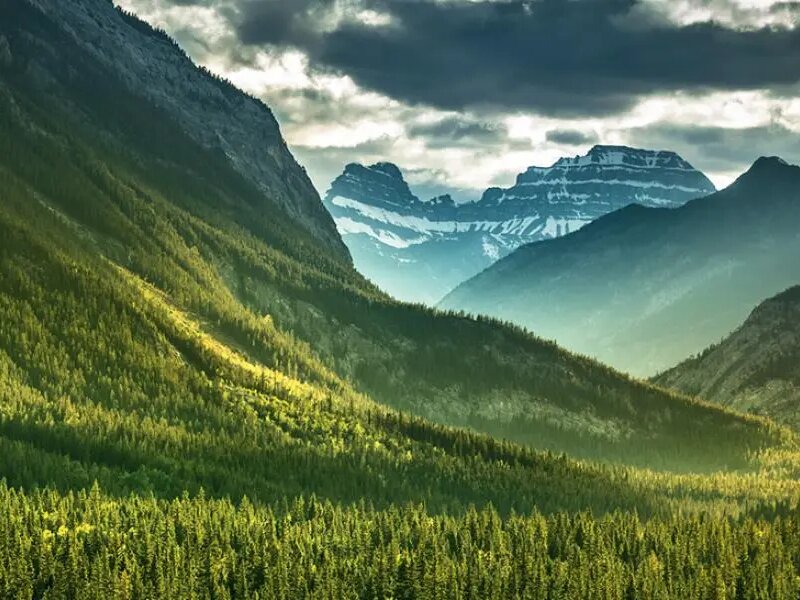 潔福地板哪些產(chǎn)品是最新專利技術(shù)-EVERCARE激光穿