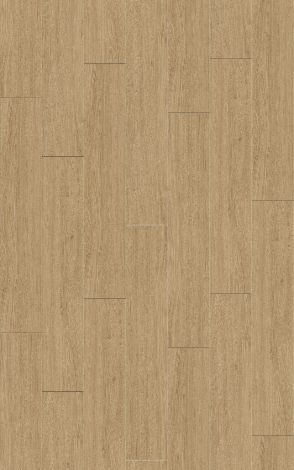 1142 CHERRY OAK HONEY