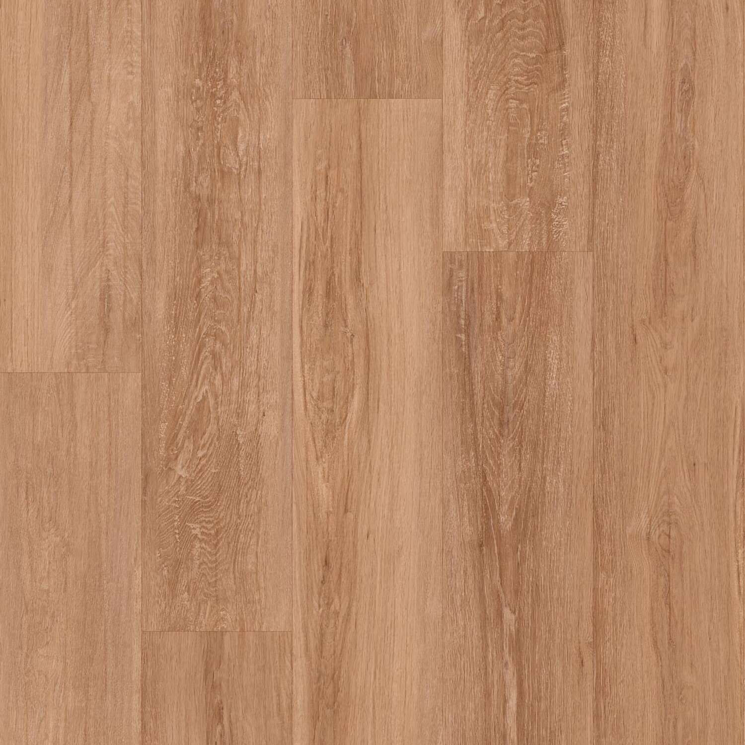 1162 ALBION MID BROWN